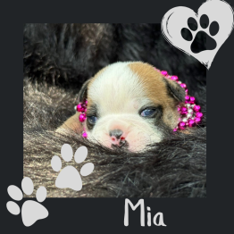 Mia