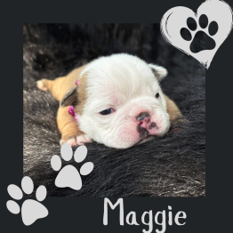 Maggie 