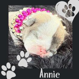 Annie 