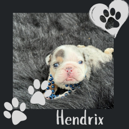 Hendrix